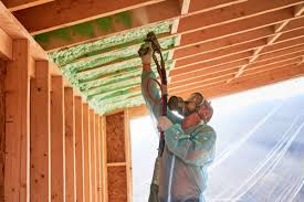 Best Soundproof Insulation  in Kingsville, TX